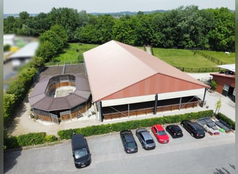 Hochwertige Reitanlage in Aachen