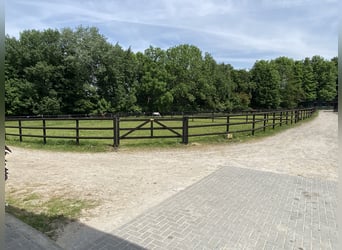 Hochwertige Reitanlage in Aachen