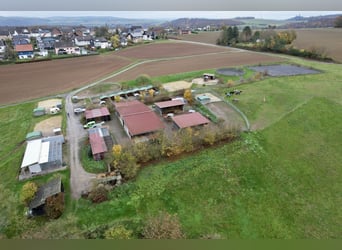 Hoogrenderende paardenpension met veel land voor diervriendelijke paardenhouderij op een privélocati