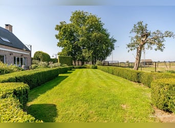 Hoogwaardig afgewerkte villa met stalgebouw en aanpalende weides op ca. 1,7 ha te Herenthout