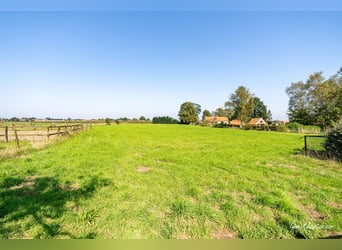 Hoogwaardig afgewerkte villa met stalgebouw en aanpalende weides op ca. 1,7 ha te Herenthout