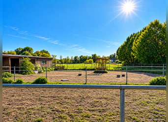 Houden van paarden op ongeveer 1,7 hectare eigen land net buiten München