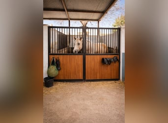 Huis met Paardensportfaciliteiten