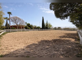 Huis met Paardensportfaciliteiten