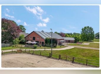 Idyllische paardenboerderij Kootwijkerbroek Veluwe te koop