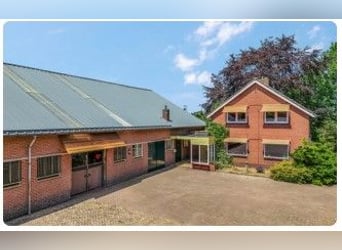 Idyllische paardenboerderij Kootwijkerbroek Veluwe te koop