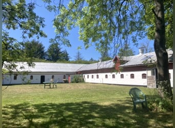 ISLANDGESTÜT MIT 62 HEKTAR IN NORDJÜTLAND ZU KAUFEN