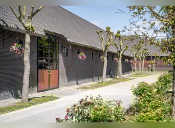 Kapelstraat 12 - 14 Leende Beautiful, complete equestrian accommodation 