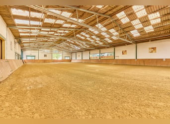 Kasteel te koop in Rheinhessen met eigen manege en evenementlocatie!
