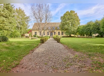 Kasteel te koop in Rheinhessen met eigen paardenpension en evenementenlocatie!