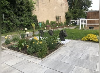 Kleine Reitanlag mit Wohnhaus zu Verkaufen