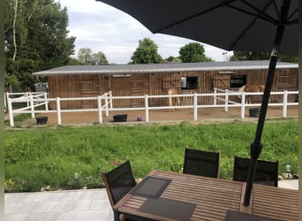 Kleine Reitanlag mit Wohnhaus zu Verkaufen