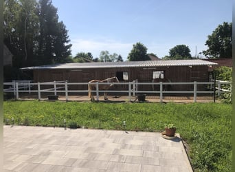 Kleine Reitanlag mit Wohnhaus zu Verkaufen