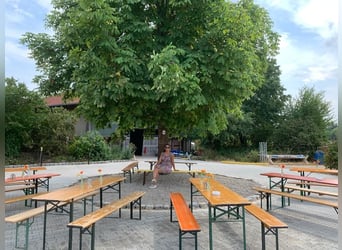 Kleine Reitanlag mit Wohnhaus zu Verkaufen