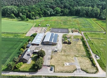 Landelijk gelegen, idyllische afgelegen boerderij met eigen land!