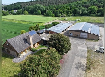 Landelijk gelegen, idyllische afgelegen boerderij met eigen land!