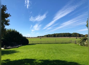 Landhaus für Pferdeliebhaber mit traumhaftem Blick
