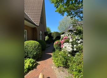 Landhaus für Pferdeliebhaber mit traumhaftem Blick