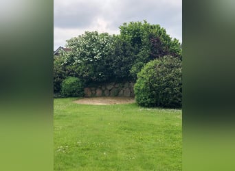 Landhaus für Pferdeliebhaber mit traumhaftem Blick