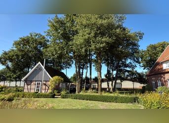 Luxe landgoed met gastenhuis, grote schuur en paardenstal