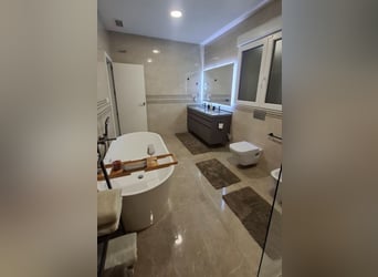 LUXUEUZE PAARDENBOUW EN LUXUEUZE LANDHUIS