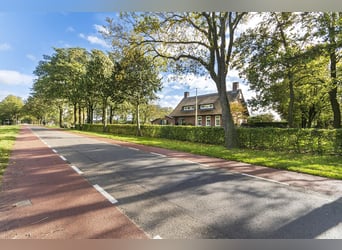 Luxury detached home with office outbuilding, wellness pool, gym & stables for 4 horses