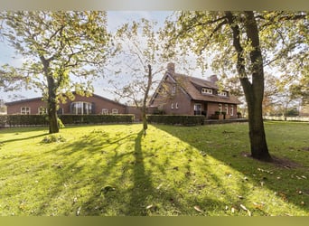 Luxury detached home with office outbuilding, wellness pool, gym & stables for 4 horses