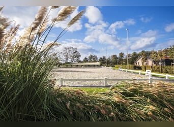 Luxury detached home with office outbuilding, wellness pool, gym & stables for 4 horses