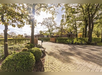 Luxury detached home with office outbuilding, wellness pool, gym & stables for 4 horses