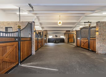 Luxury detached home with office outbuilding, wellness pool, gym & stables for 4 horses