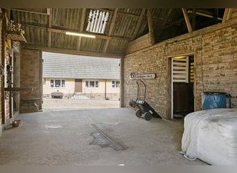 Modern Home and Stables in Scenic Landskrona