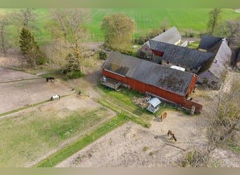 Modern Home and Stables in Scenic Landskrona