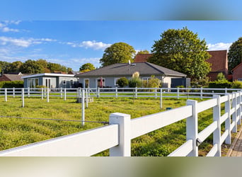 Modern paardenbedrijf op 3,4 ha – rijhal, 13 boxen, zoutkamer & 2 rijbanen