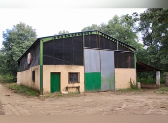 Mooi landgoed met cortijo in Salamanca – 200 hectare