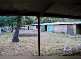 Mooi landgoed met cortijo in Salamanca – 200 hectare