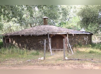 Mooi landgoed met cortijo in Salamanca – 200 hectare