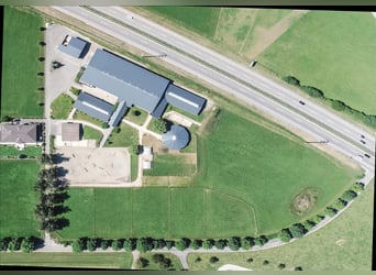 Oost-Zwitserland - Exclusief manegecomplex met een mediterrane villa en uitgestrekt landgoed