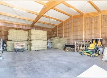 Oost-Zwitserland - Exclusief manegecomplex met een mediterrane villa en uitgestrekt landgoed