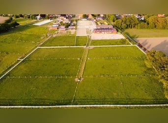 Paardenaccommodatie met binnenbak en twee buitenrijbanen te koop