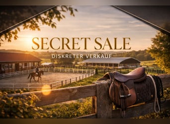 Paardenaccommodatie te koop in het Allgäu! (Geheime verkoop – postcode niet correct!)