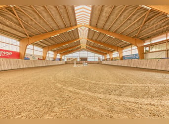 Paardenaccommodatie te koop in het Main-Kinzig-Kreis, gelegen op een privéperceel – slechts een uur 