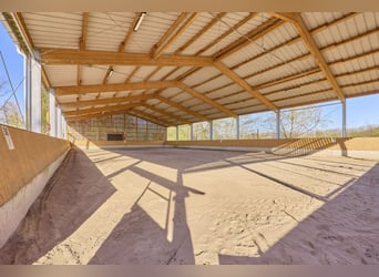 Paardenaccommodatie te koop in Rijnland-Palts – Moderne manege uit 2016 gelegen tussen Alzey en Kais