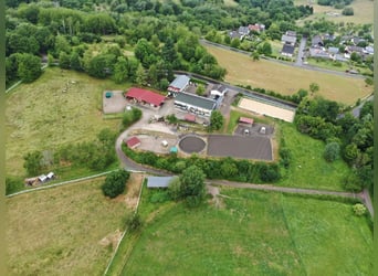 Paardenbedrijf met ongeveer 18 hectare eigen land, uitgebreide rijbaan en meerdere wooneenheden.