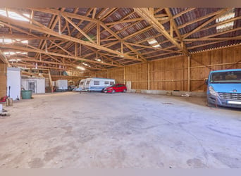 Paardenbedrijf te koop in de Landkreis Mainz-Bingen – op een aantrekkelijke locatie in Lörzweiler!
