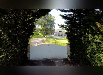 Paardenboerderij aan de poorten van Mâcon