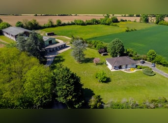 Paardenboerderij aan de poorten van Mâcon