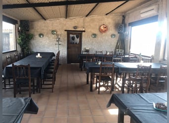 Paardenfaciliteiten in de beroemde regio van het Matarraña Landgoed