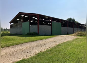Paardenhouderij met veel potentieel