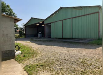 Paardenhouderij met veel potentieel