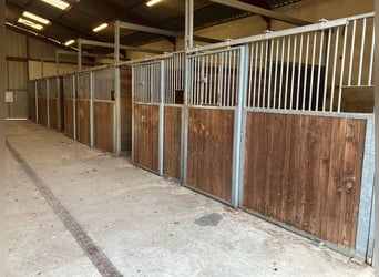 Paardenhouderij met veel potentieel